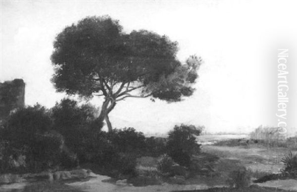 Paysage - view 1