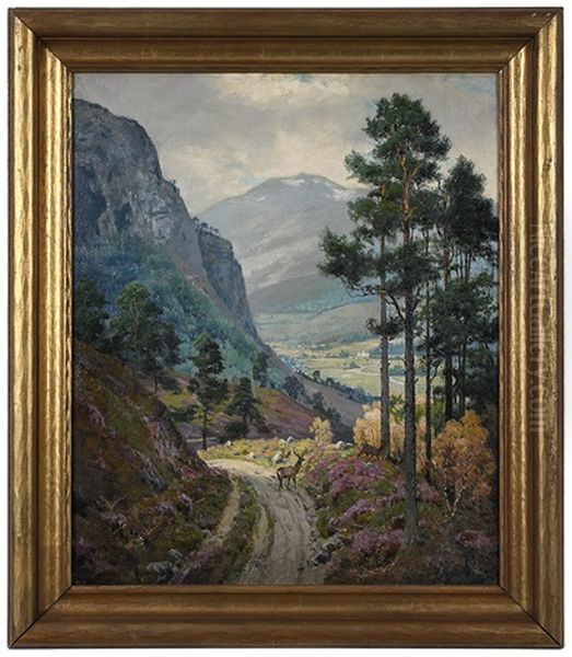 Valley Of Dee - view 1