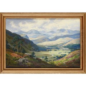 The Cairngorms From Glen Clunie