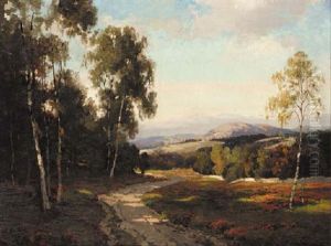 A Sunlit Aberdeenshire Landscape
