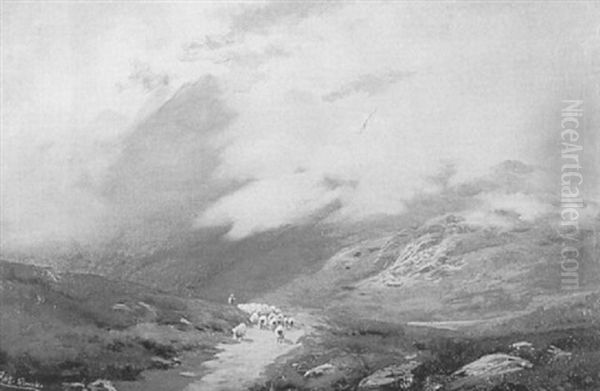 Flock On Highland Path - view 1