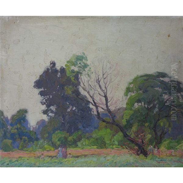 Summer Shadows - view 1