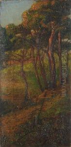 Pineta Pineta