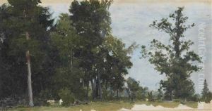 The Forest, Zdravnevo