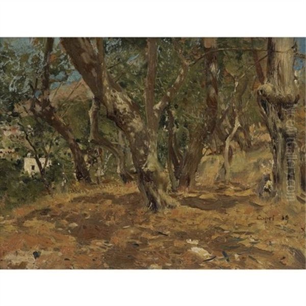 Landscape Study, Capri - view 1