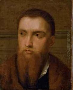 Portrait D'un Homme Barbu by Alessandro Bonvicino (Moretto da Brescia)
