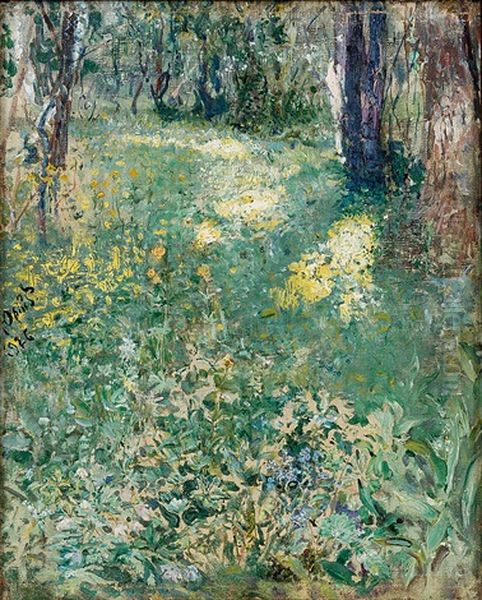 Edge Of The Forest - view 1