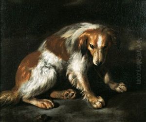 Una Spaniel In Un Paesaggio Una Spaniel In Un Paesaggio