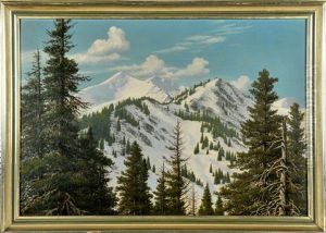 Riedberger Horn In Den Allgauer Alpen Im Winter