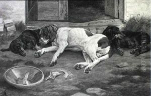 Pointer Og To Gravhunde Far Sig En Lur Pa Gardspladsen