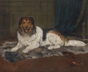 Ein Landseer Und Ein Paar Braune Schuhe