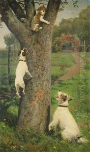 Chat Dans Un Arbre Attaque Par Deux Chiens
