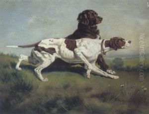 Jagdhunde
