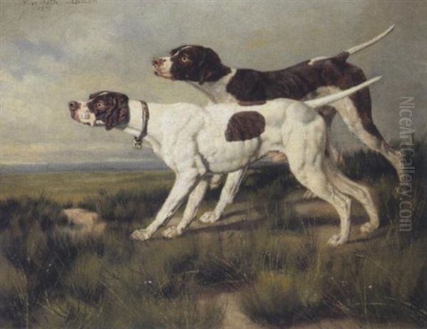 Jagdhunde - view 1