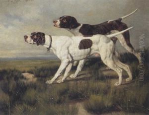 Jagdhunde