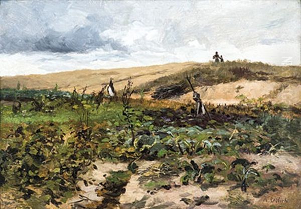 Dunenfeld - view 1