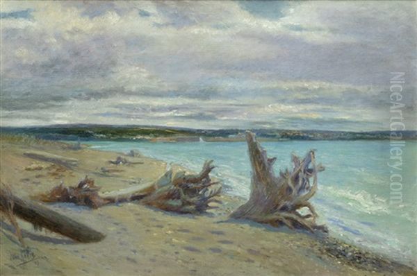 Driftwood Along A Beach Coastline - view 1