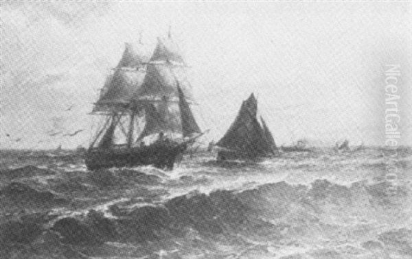 Segelschiff Und Fischerboot In Der Elbmundung - view 1