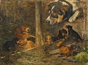 Hundewelpen Im Zwinger