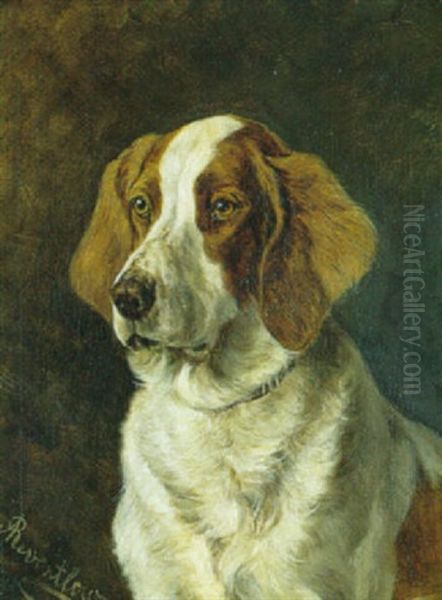 Hundeportraet - view 1
