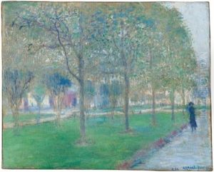 Un Paseo En El Parque