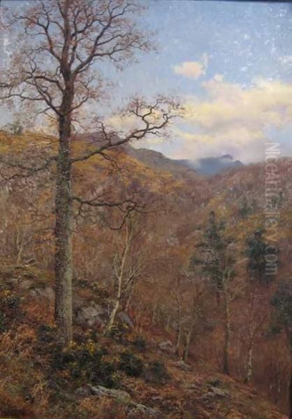 Woodland View - view 1