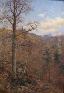 Woodland View by Walter Boodle