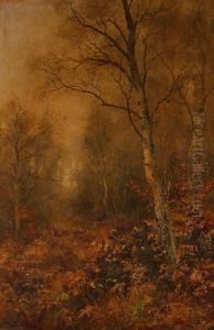 Oil On Canvas, Autumnalwoodland View, Signed, 24" X 16" by Walter Boodle