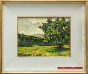 Paesaggio Campestre Paesaggio Campestre