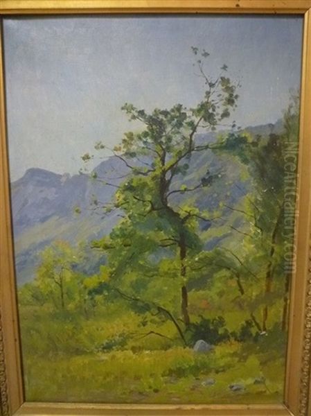 Paysage A L'arbre - view 1