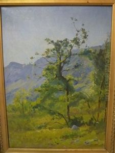 Paysage A L'arbre Paysage A L'arbre