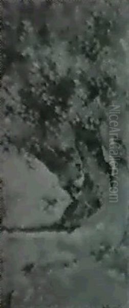 Arboles - view 1