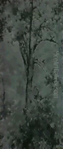 Arboles - view 1