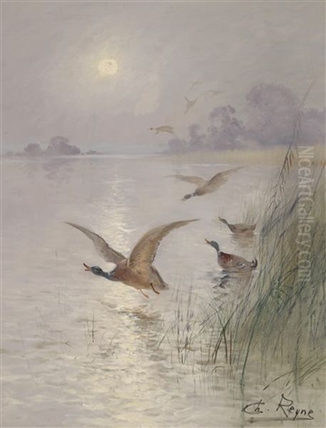 Wildenten - view 1
