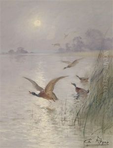 Wildenten