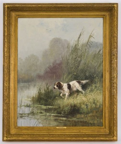 Setter At The Edge Of The Water - view 1