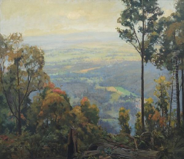 New Dandenong - view 1