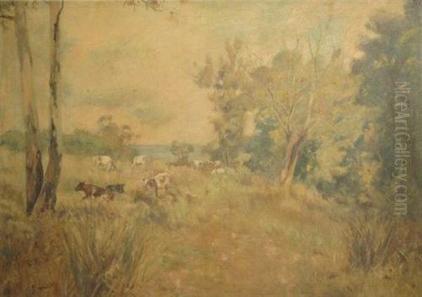 Cattle In Bush - view 1