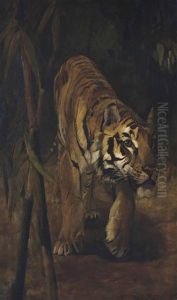 Prowling Tiger by Warwick Reynolds