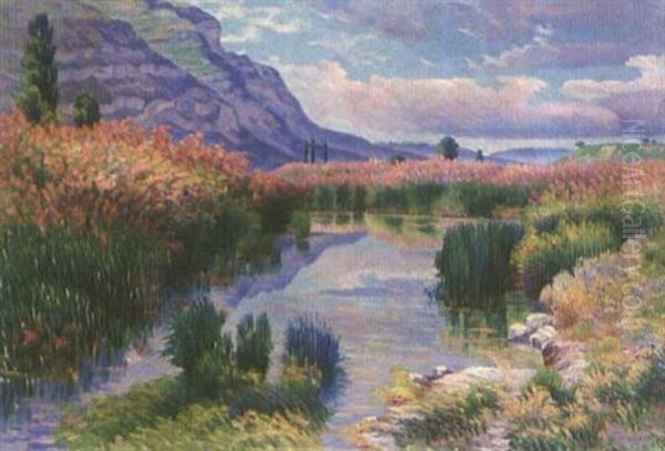Marais De Gaillard Pres De Geneve - view 1