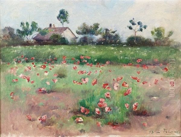 Feldlandschaft Mit Mohnblumen - view 1