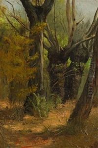 Bosque