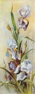 Lilien