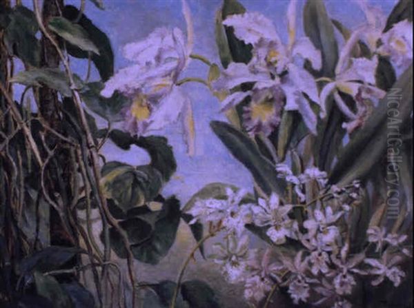 Orchideen - view 1