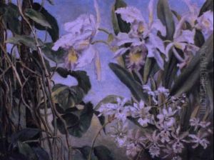 Orchideen by Rudolf Ribarz