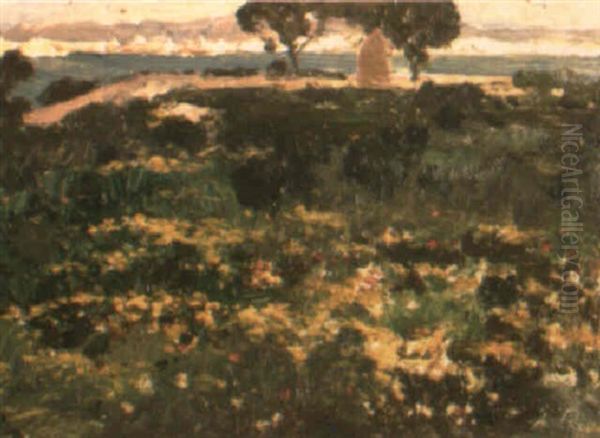 Vista De Palma De Mallorca - view 1