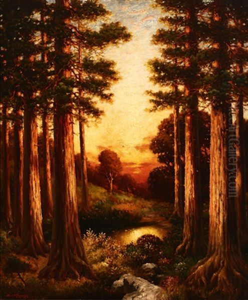 Redwood Sunrise - view 1