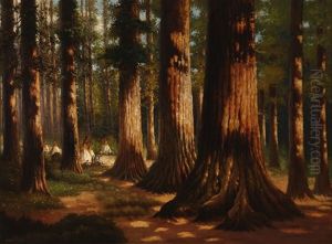 California Redwood Giants