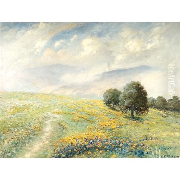 Blooming Wildflowers And Oaks On A California Hillside - view 1