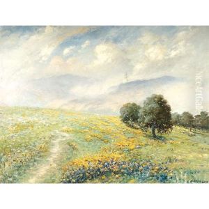 Blooming Wildflowers And Oaks On A California Hillside